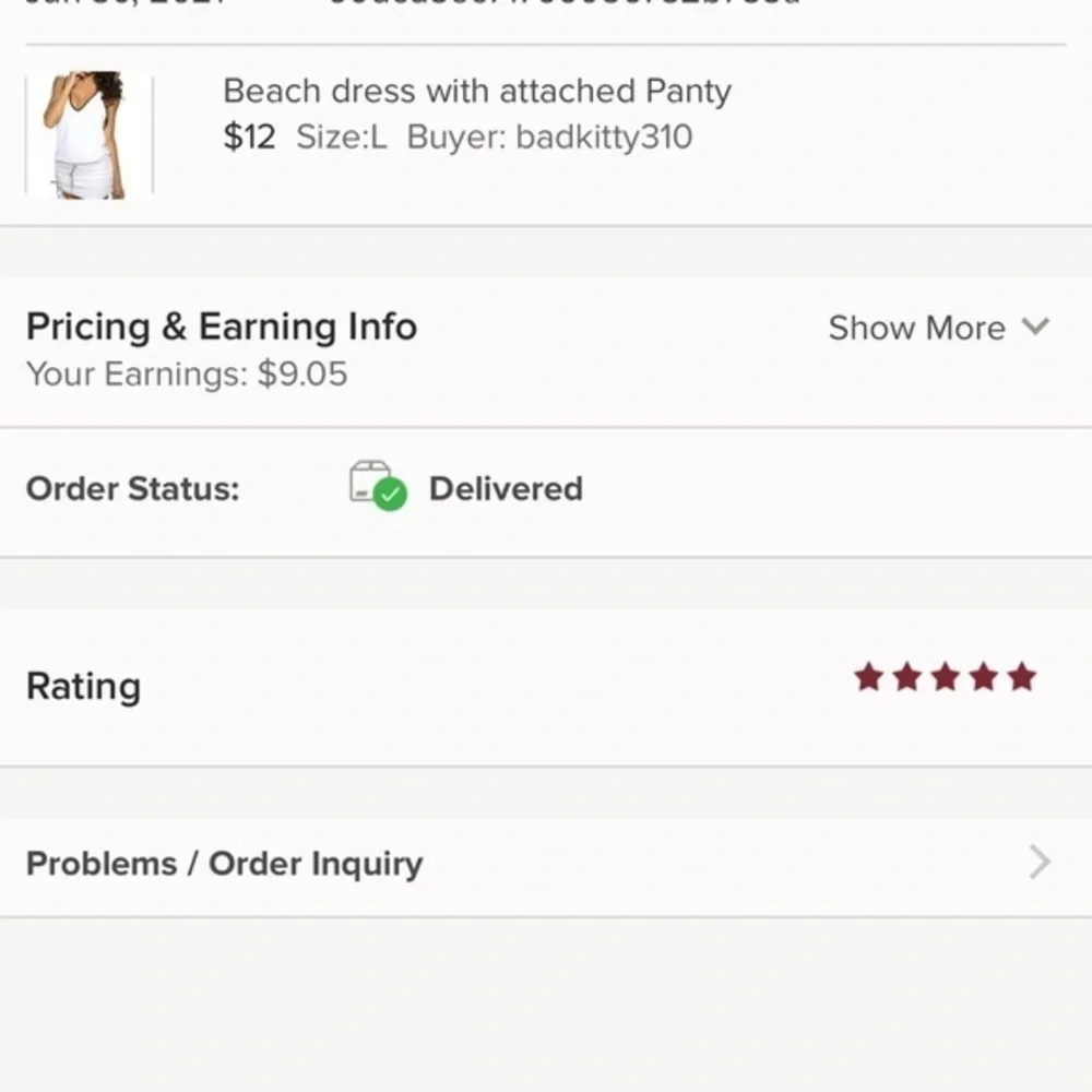 Beach dress with attached Panty - Picture 4 of 10